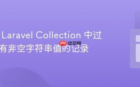 如何从 Laravel Collection 中过滤出具有非空字符串值的记录