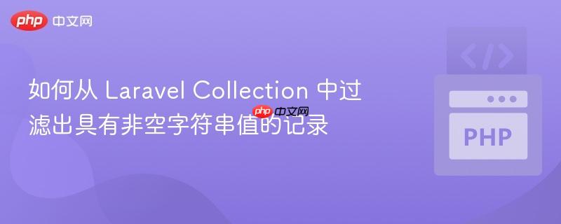 如何从 Laravel Collection 中过滤出具有非空字符串值的记录