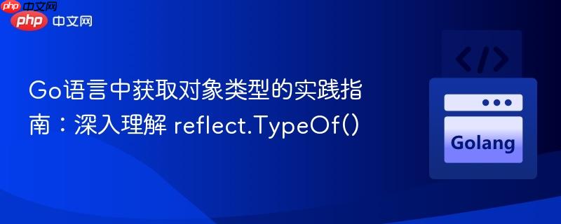 go语言中获取对象类型的实践指南:深入理解 reflect.typeof()