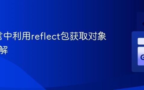 Go语言中利用reflect包获取对象类型详解