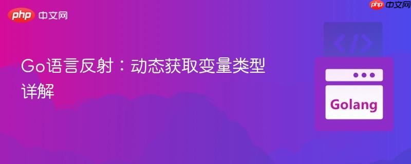 Go语言反射:动态获取变量类型详解