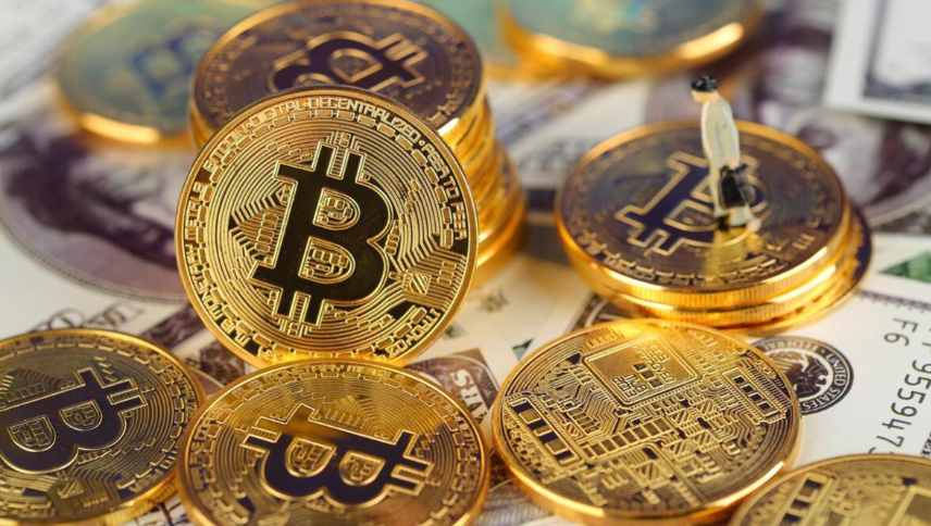 如何估值一个加密货币项目?详解7个核心评估指标 - 创想鸟