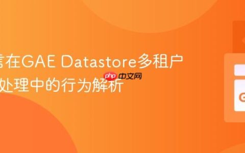 Go语言在GAE Datastore多租户与事务处理中的行为解析