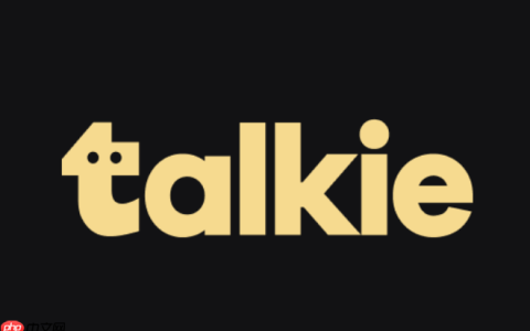 Talkie官方网站链接直达 Talkie智能交流平台主页访问入口