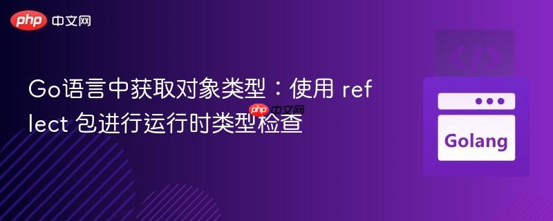 Go语言中获取对象类型:使用 reflect 包进行运行时类型检查