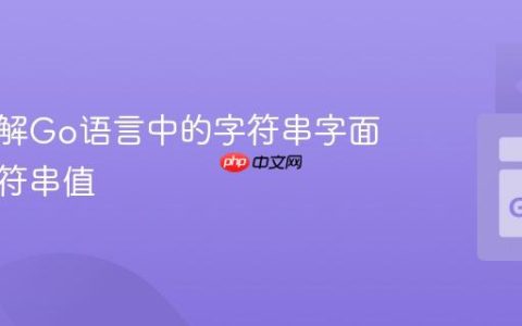 深入理解Go语言中的字符串字面量与字符串值