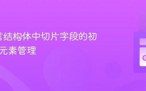 Go语言结构体中切片字段的初始化与元素管理
