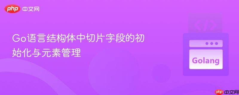 go语言结构体中切片字段的初始化与元素管理