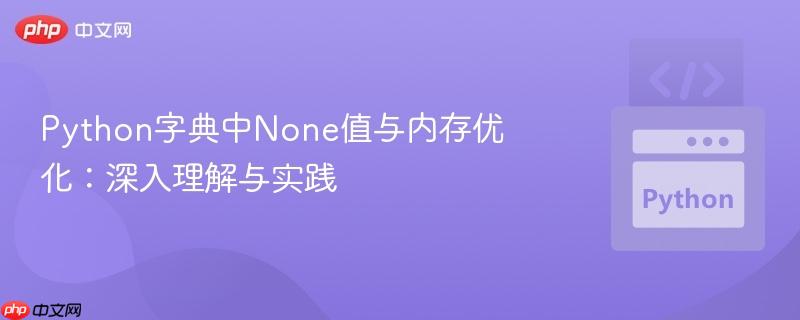 Python字典中None值与内存优化:深入理解与实践