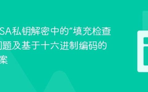 PHP RSA私钥解密中的“填充检查失败”问题及基于十六进制编码的解决方案