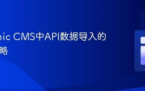 Statamic CMS中API数据导入的验证策略