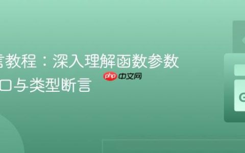 Go语言教程：深入理解函数参数中的接口与类型断言
