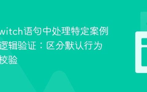 Java Switch语句中处理特定案例的业务逻辑验证：区分默认行为与内部校验