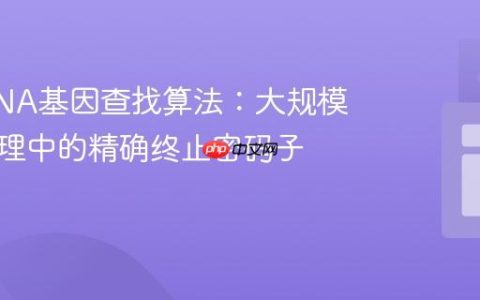 优化DNA基因查找算法：大规模序列处理中的精确终止密码子识别