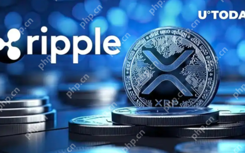 Ripple (XRP) 价格分析：SEC诉讼结束后，XRP会一飞冲天吗？
