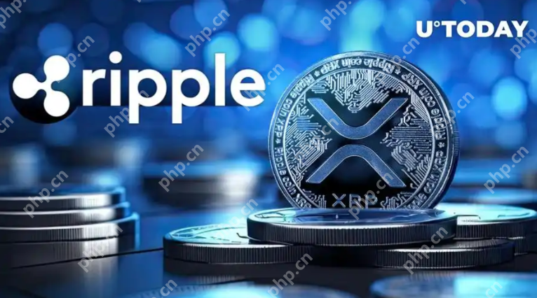 Ripple (XRP) 价格分析:SEC诉讼结束后,XRP会一飞冲天吗? - 创想鸟