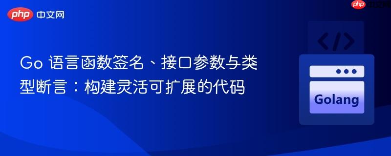 Go 语言函数签名、接口参数与类型断言:构建灵活可扩展的代码