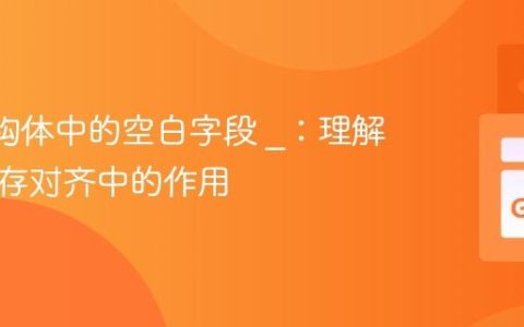 Go 结构体中的空白字段 _：理解其在内存对齐中的作用
