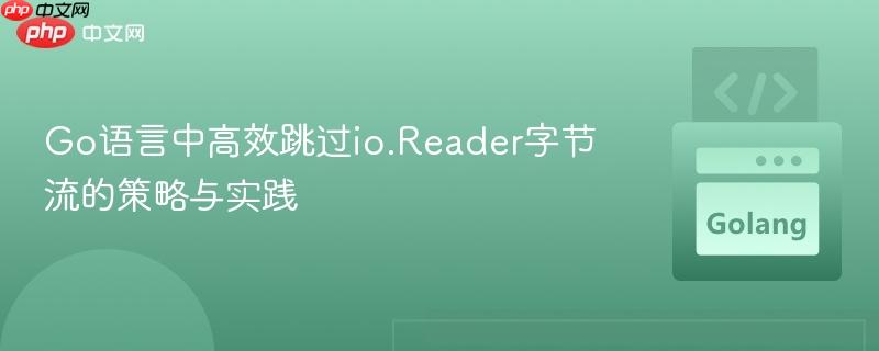Go语言中高效跳过io.Reader字节流的策略与实践