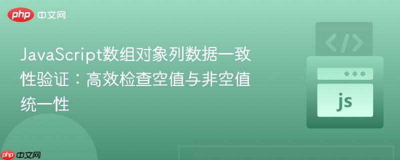 JavaScript数组对象列数据一致性验证:高效检查空值与非空值统一性