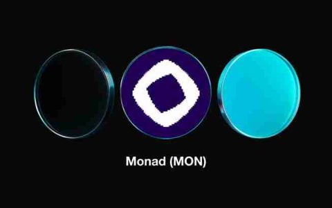 Monad (MON)币是什么？公开代币销售、MON代币经济学以及未来展望