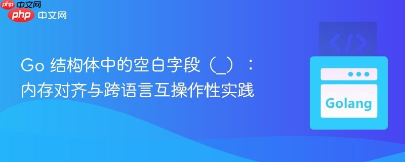 Go 结构体中的空白字段(_):内存对齐与跨语言互操作性实践