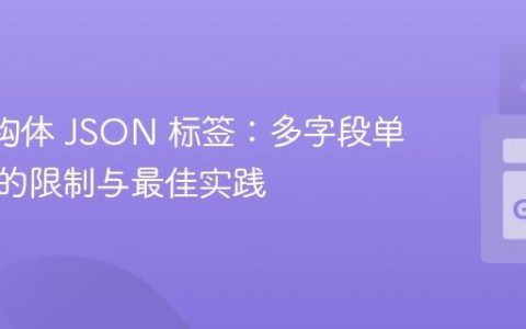 Go 结构体 JSON 标签：多字段单行声明的限制与最佳实践