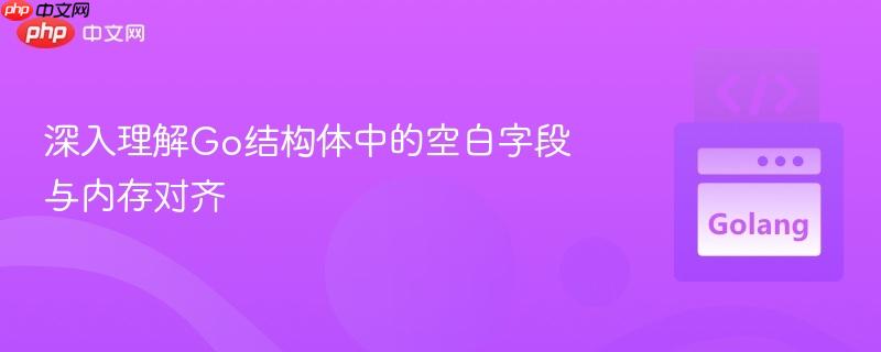 深入理解Go结构体中的空白字段与内存对齐