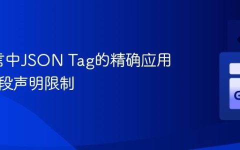 Go语言中JSON Tag的精确应用与多字段声明限制