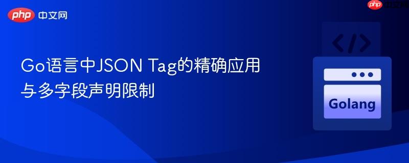 Go语言中JSON Tag的精确应用与多字段声明限制