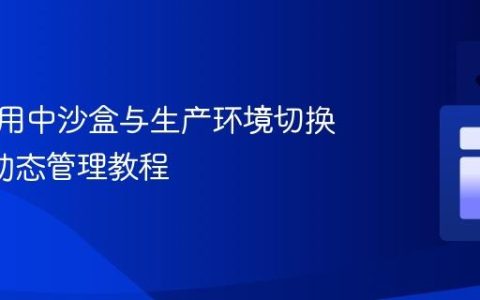 前端应用中沙盒与生产环境切换及API动态管理教程