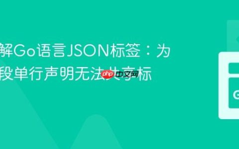 深入理解Go语言JSON标签：为何多字段单行声明无法共享标签