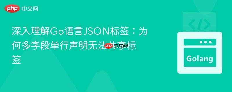 深入理解Go语言JSON标签:为何多字段单行声明无法共享标签