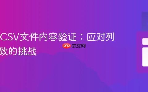 Java中CSV文件内容验证：应对列序不一致的挑战