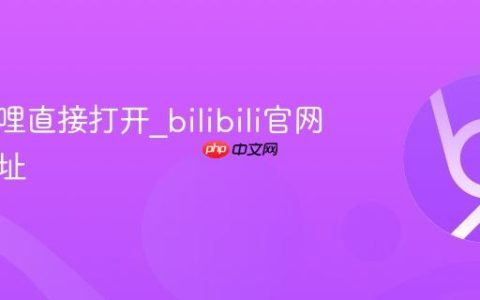 哔哩哔哩直接打开_bilibili官网最新地址
