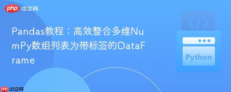 Pandas教程:高效整合多维NumPy数组列表为带标签的DataFrame