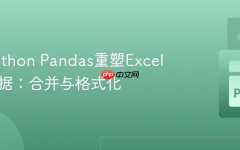 使用Python Pandas重塑Excel跨行数据：合并与格式化