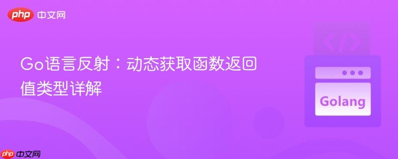 Go语言反射:动态获取函数返回值类型详解