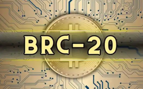 BRC-20标准详解：比特币生态的创新与未来潜力