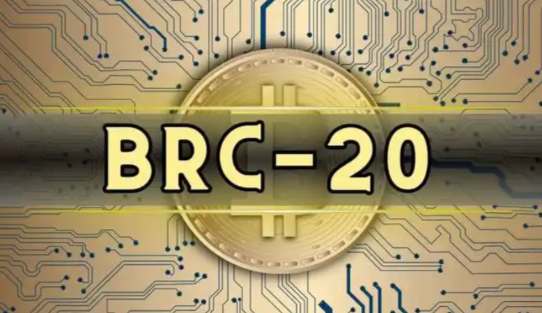 BRC-20标准详解:比特币生态的创新与未来潜力 - 创想鸟