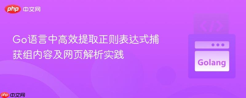 Go语言中高效提取正则表达式捕获组内容及网页解析实践