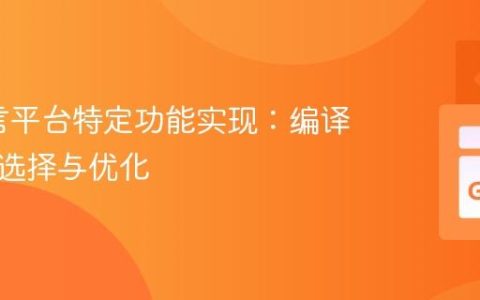 Go语言平台特定功能实现：编译时函数选择与优化
