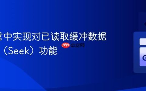 Go语言中实现对已读取缓冲数据的查找（Seek）功能