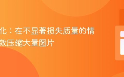 图像优化：在不显著损失质量的情况下有效压缩大量图片