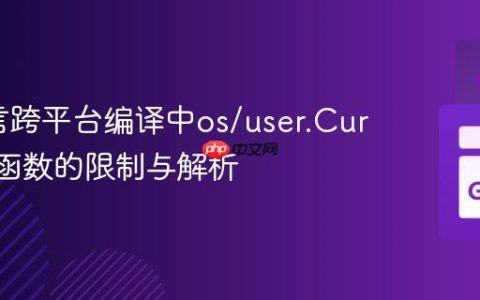 Go语言跨平台编译中os/user.Current()函数的限制与解析