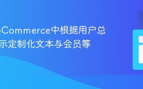 在WooCommerce中根据用户总消费显示定制化文本与会员等级
