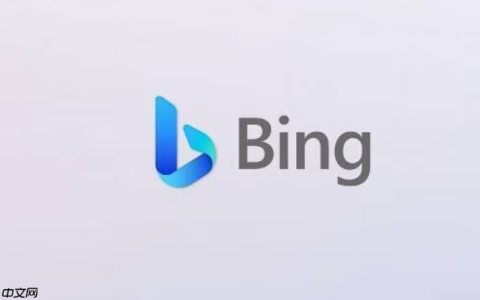 Bing搜索免登录官网入口地址 Bing搜索引擎官网入口