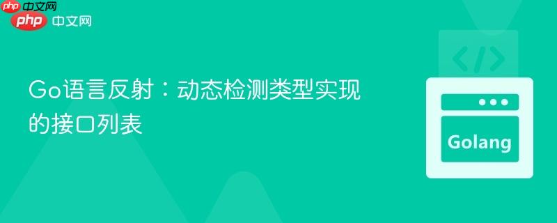 Go语言反射:动态检测类型实现的接口列表