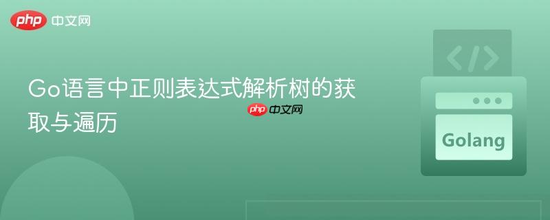 Go语言中正则表达式解析树的获取与遍历