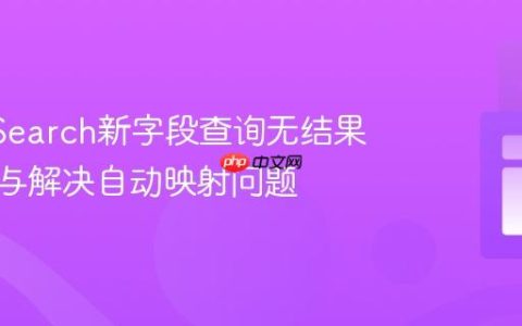 OpenSearch新字段查询无结果：理解与解决自动映射问题